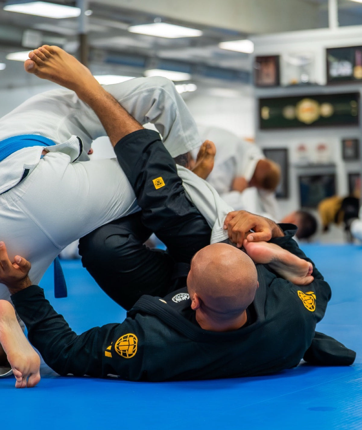 Pro Series Gi - Black & Champion Gold