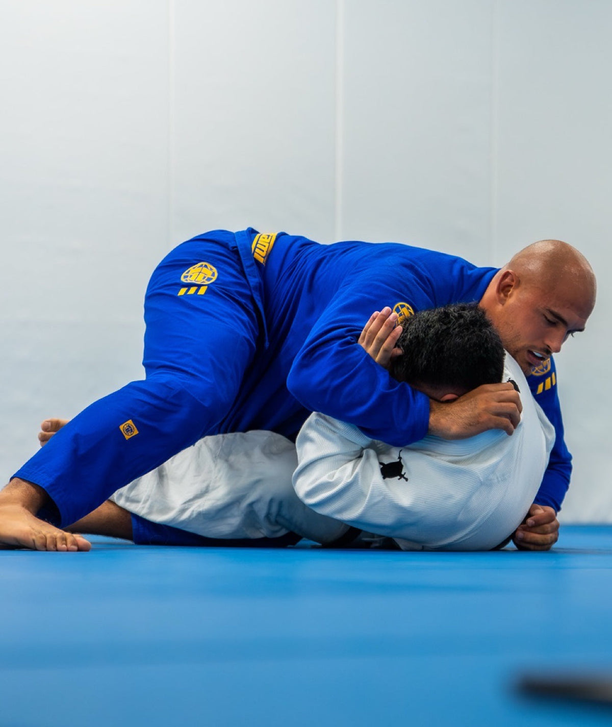 Pro Series Gi - Blue & Champion Gold