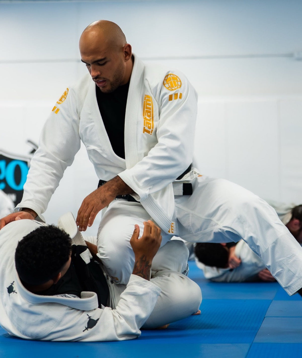 Pro Series Gi - White & Champion Gold
