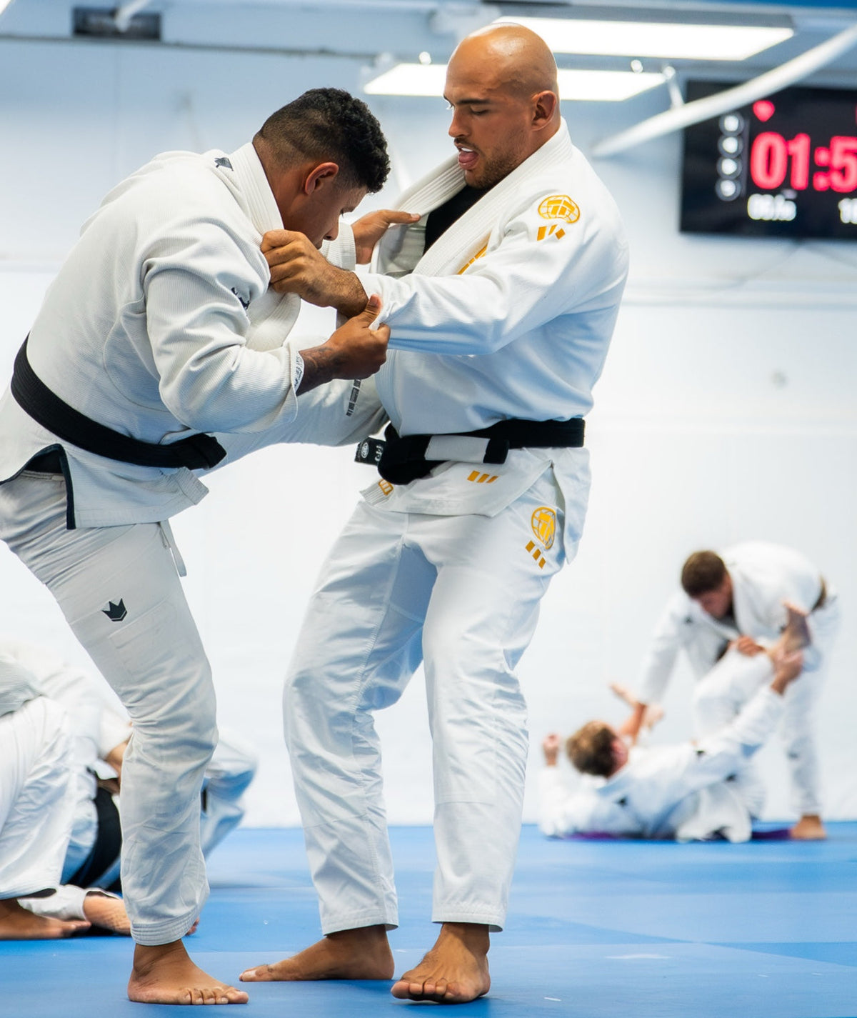Pro Series Gi - White & Champion Gold