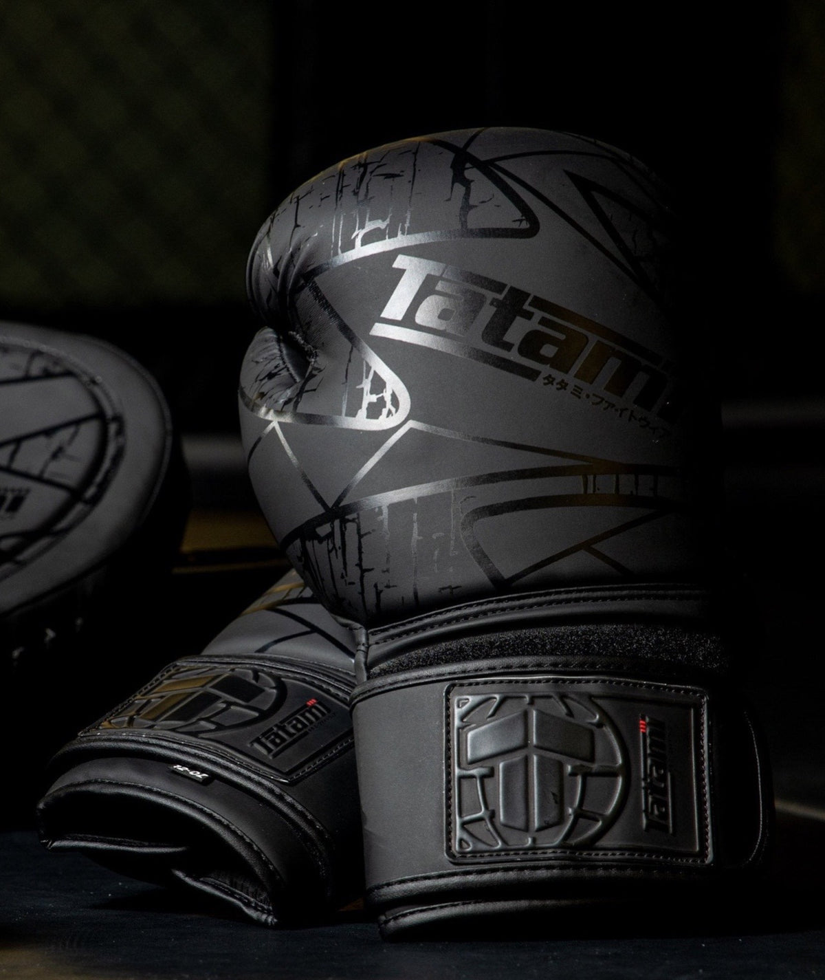Obsidian Boxing Gloves