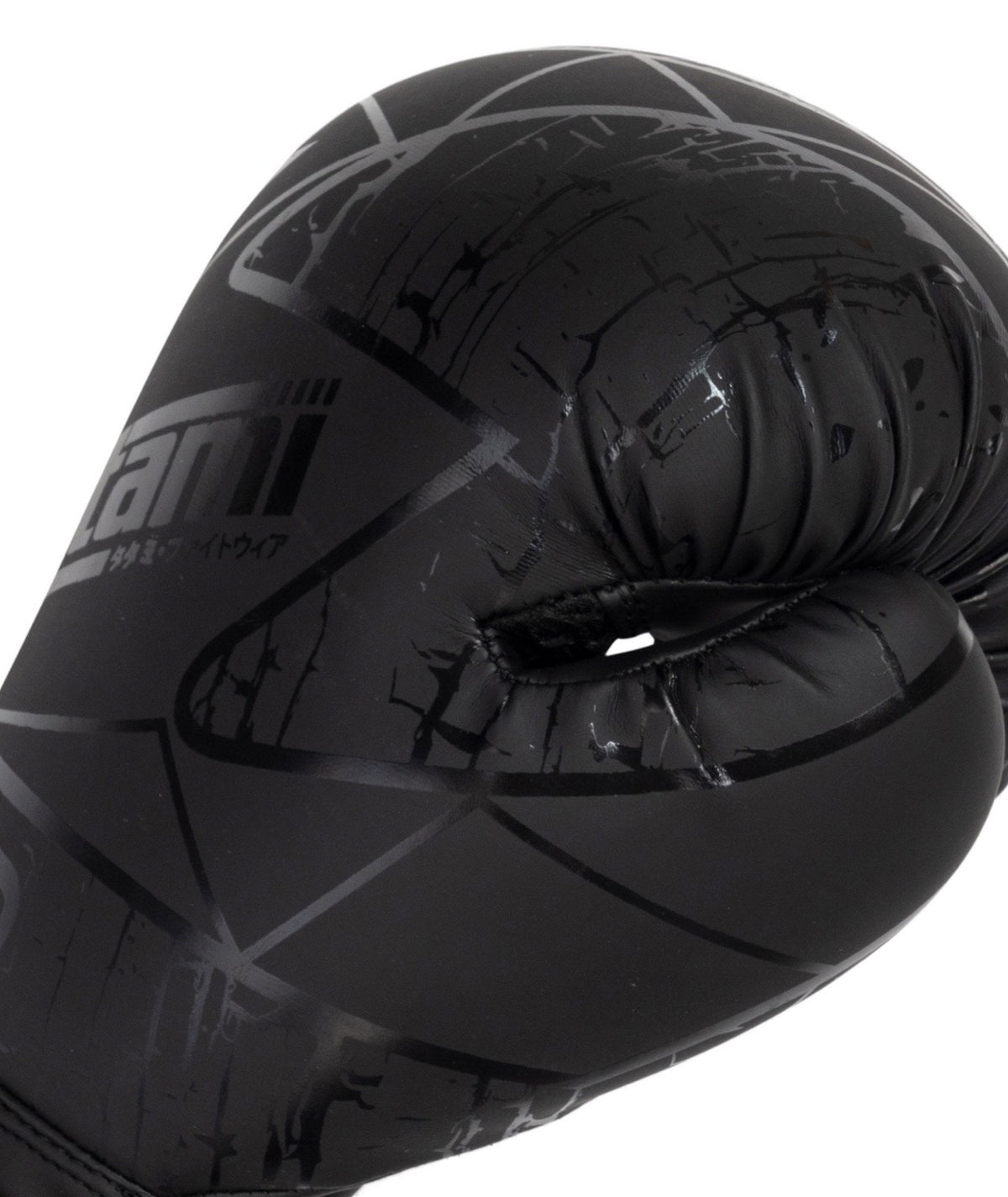 Obsidian Boxing Gloves